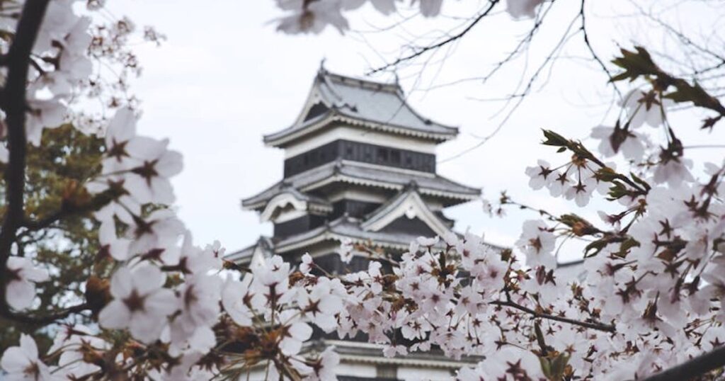 Maj w Japonii: praktyczny przewodnik pakowania między wiosną a porą deszczową