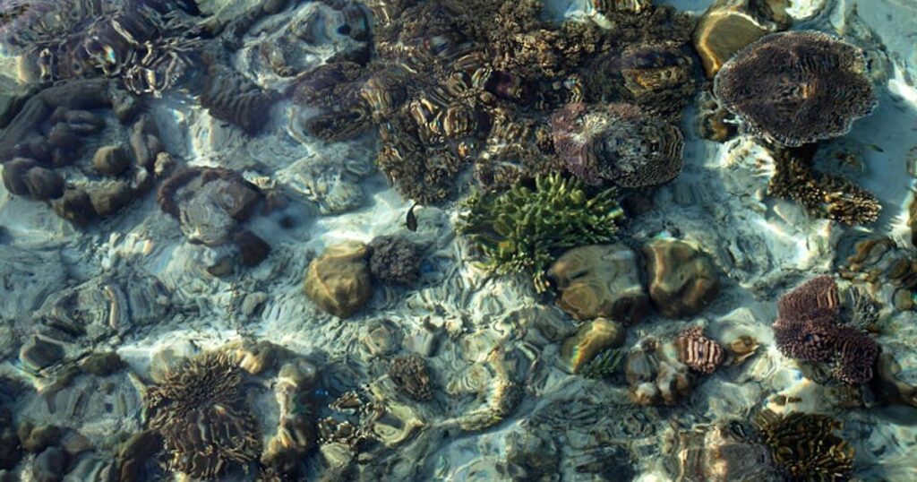 Eko-snorkeling w Tajlandii: jak chronić rafy i nie zrujnować budżetu