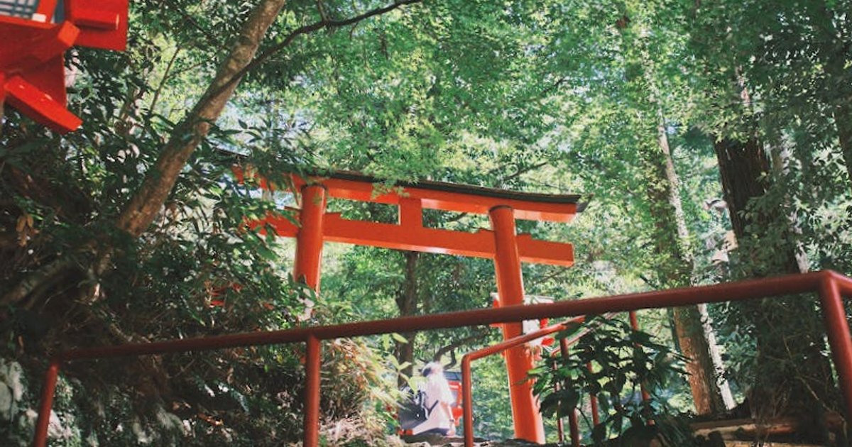 Hakone czy Kawaguchiko? Prawdziwe koszty i szanse na widok Fuji oczami polskiego turysty
